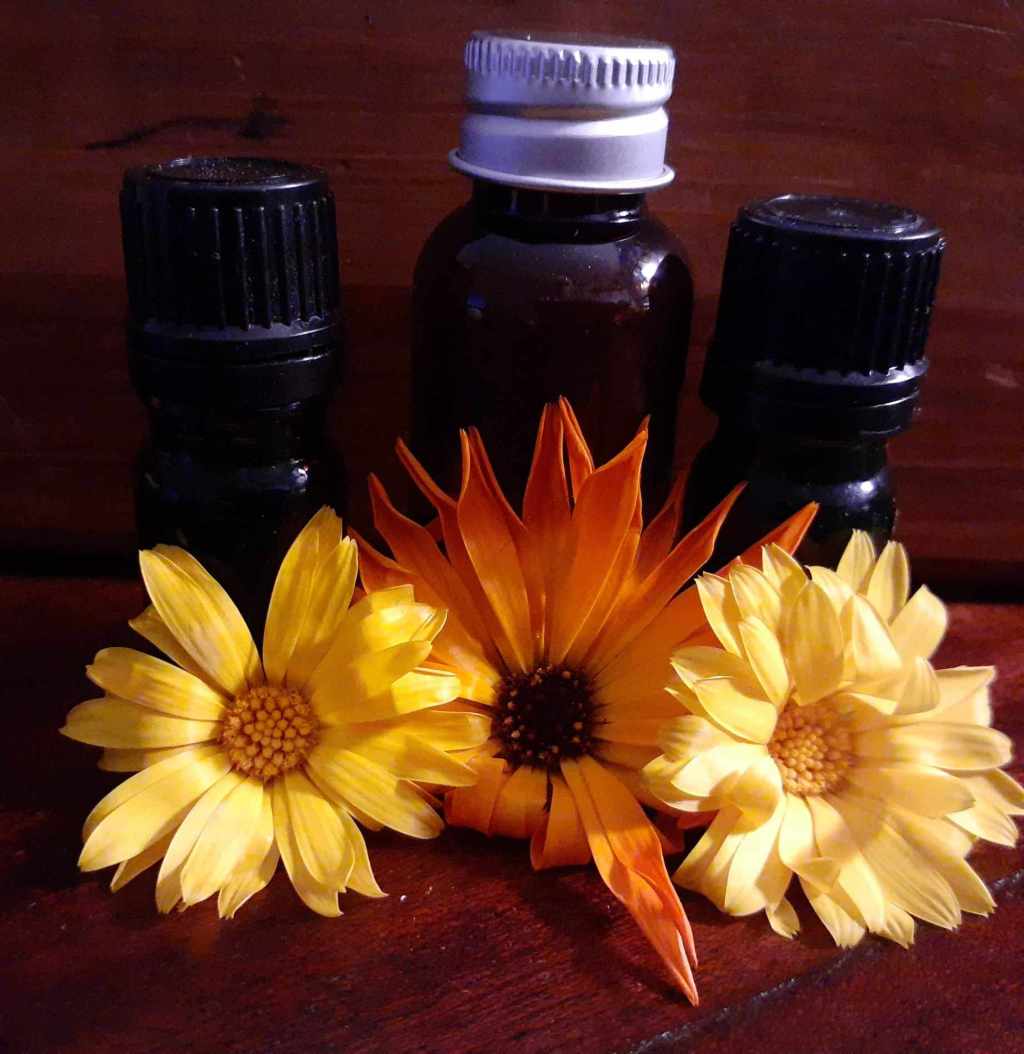 Essential Oils or&nbsp;Herbs