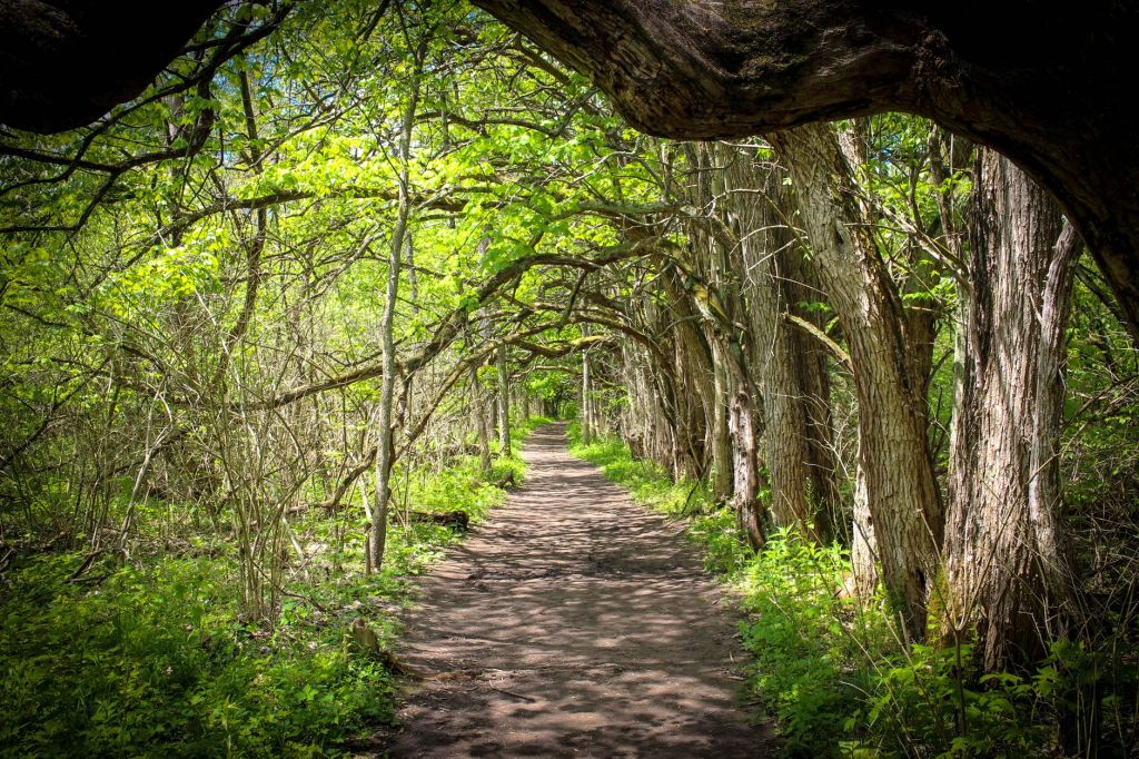 A Path Revisited